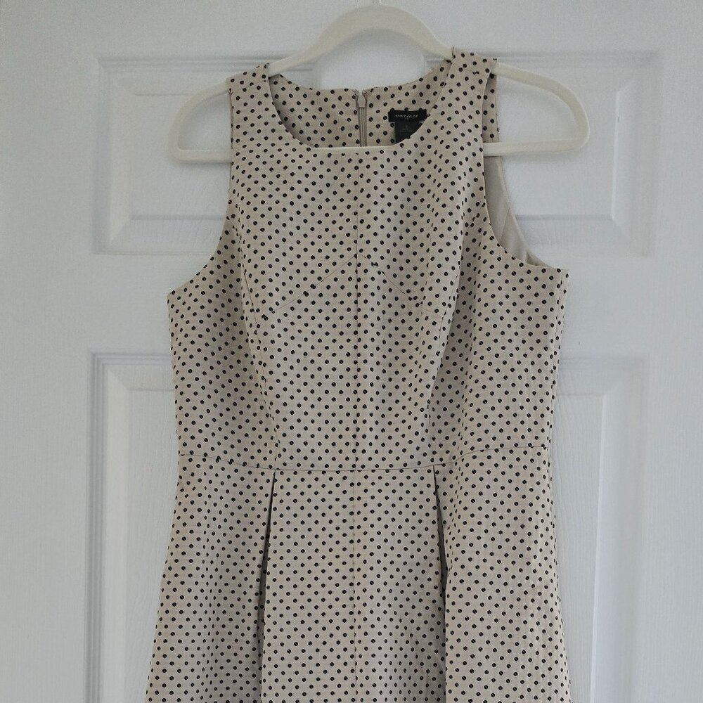 Ann Taylor Sleeveless Tan and Black Polka Dot A-Line Dress Size 8